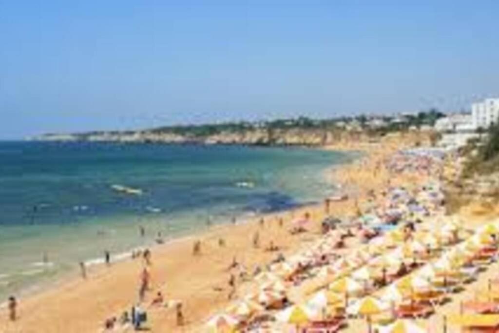 Cozy Ap Renovado 1ª Linha De Praia - Armacao Pera Armação de Pêra 외부 사진